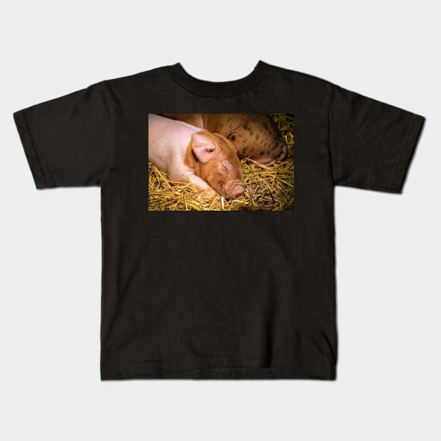 Milk Coma Piglet Kids T-Shirt by Colette22